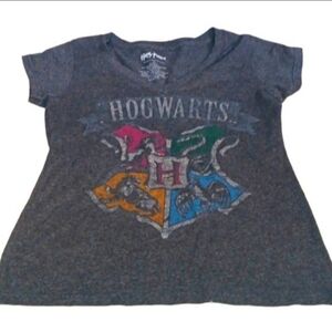 Harry Potter V-Neck Graphic House Mascot T-shirt | EUC | Gray